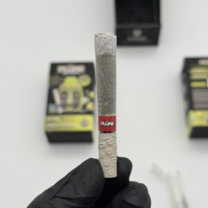 plume 2g disposable + pre roll