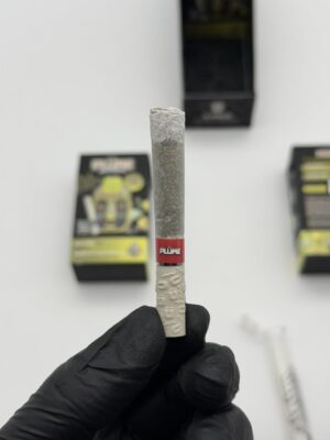plume 2g disposable + pre roll